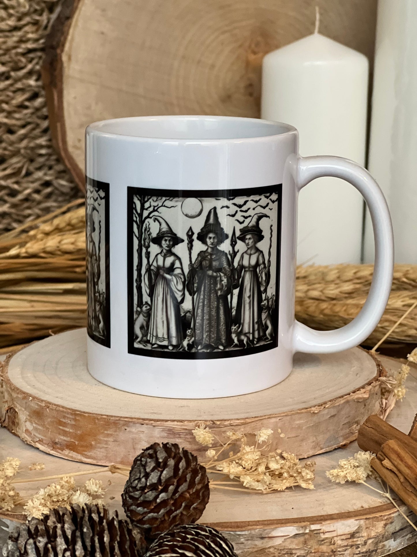 Three Witches And Their Familiars Mug