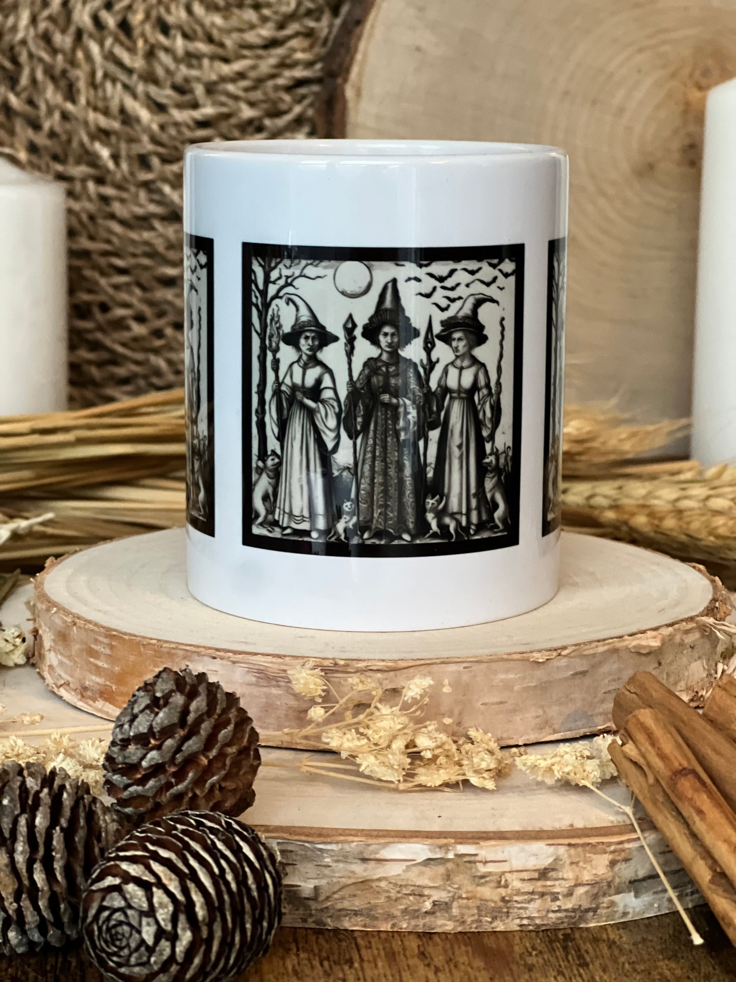 Three Witches And Their Familiars Mug