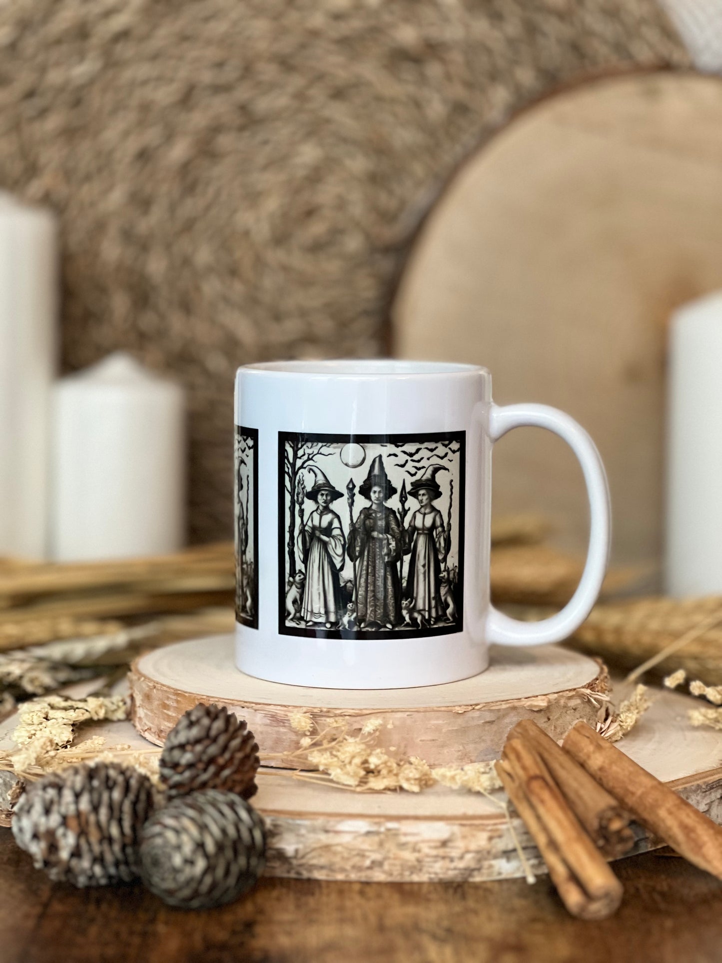 Three Witches And Their Familiars Mug