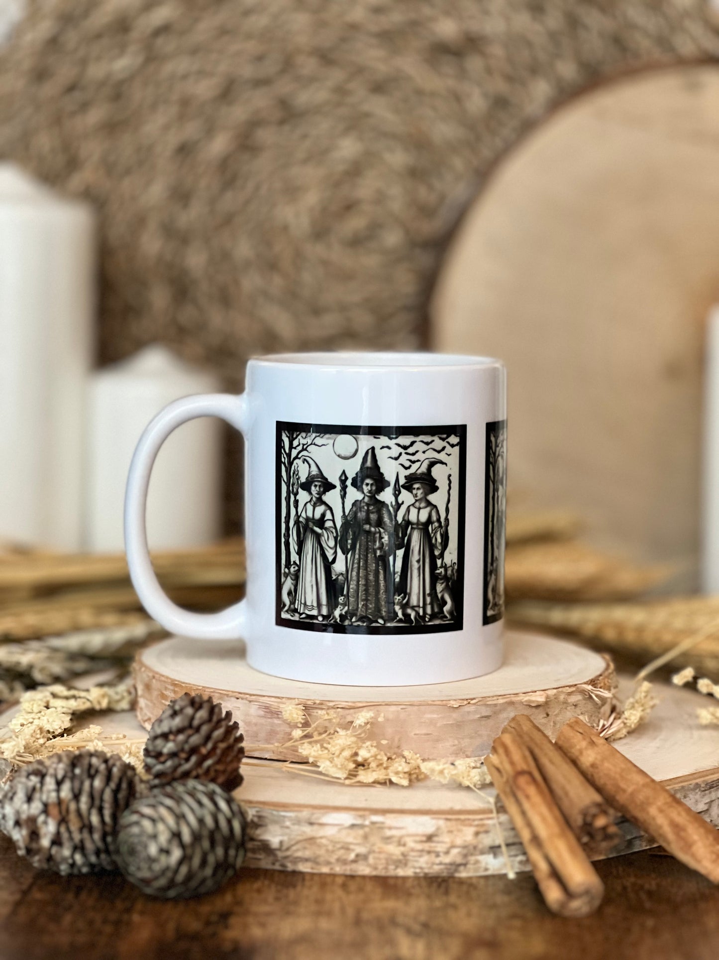 Three Witches And Their Familiars Mug